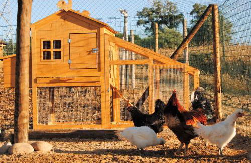 Monte Calmaria by Estilo Lusitano, with private pool and Jacuzzi - Foto 34