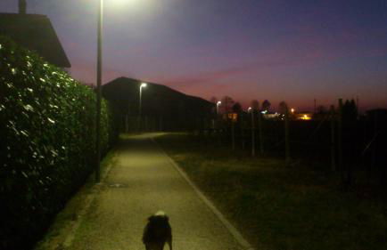 Agriturismo Caspineda - Foto 79