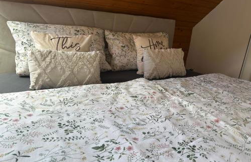 Blick auf den Rhein - Foto 20