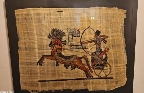 Unique ! Montpellier proche centre Maison avec jardin - Photo 14