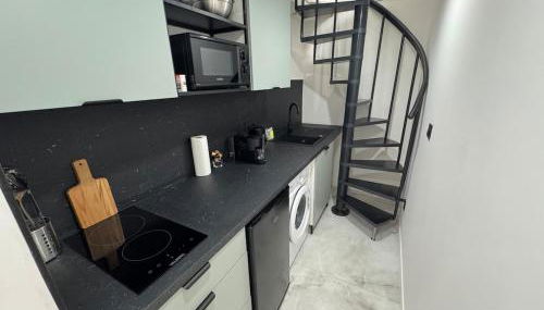 Petit Boudoir Lyonnais neuf terrasse climatisé - Foto 2