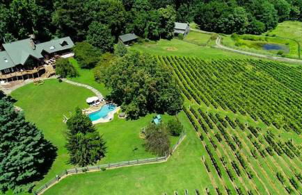 Vinewood Estate & Adventures - Foto 13