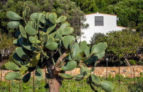 La PAVONCELLA 2 - Foto 26