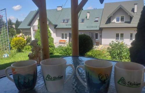 Pod Stokiem - Foto 7