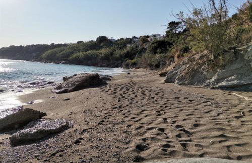 Apartments With Garden View Creta Ierapetra - Foto 46