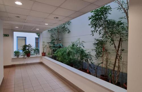 Apartament B & S - Free Garage Parking - Foto 36