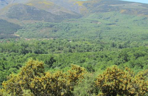 Casa Rural la Esperilla de Gredos - Foto 25