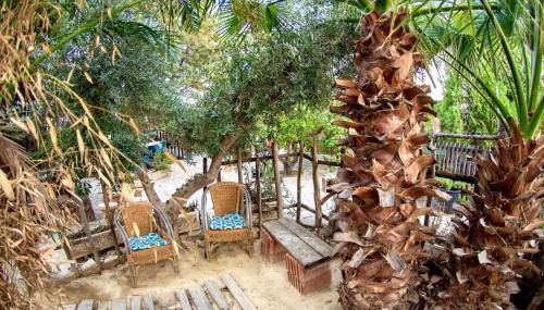 Spacious Villa with Private Pool in Archena - Foto 3, Garden