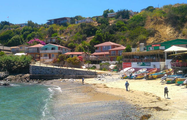 Excursion à l'île Noire, Algarrobo et Quintay - Photo 5