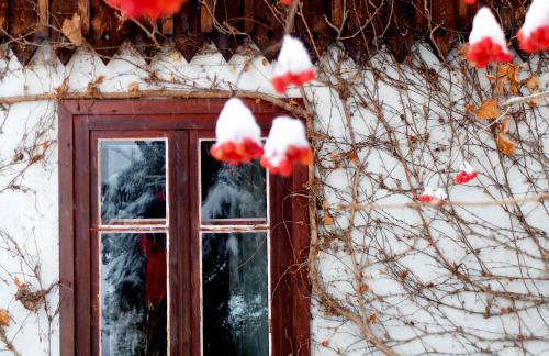 Dom Geologa - Foto 34