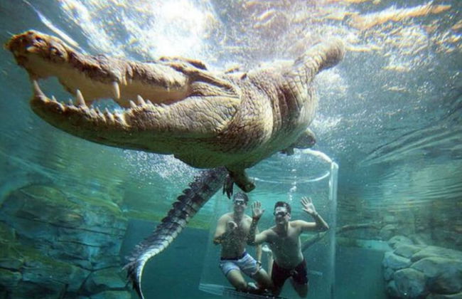 ZEN Paradise - 2-br Waterfront Ocean View Retreat - Foto 23