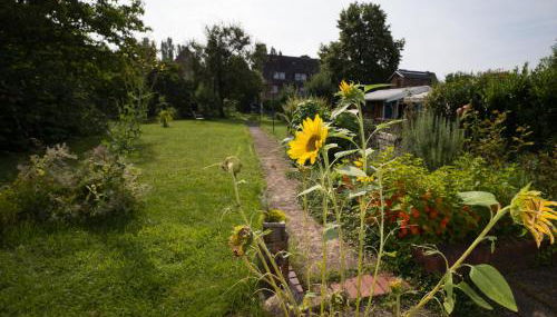 FeWo beim Schlafhaus - Foto 3, Garden, Garden view