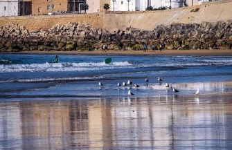 La Caleta de Cadiz WiFi - Foto 17