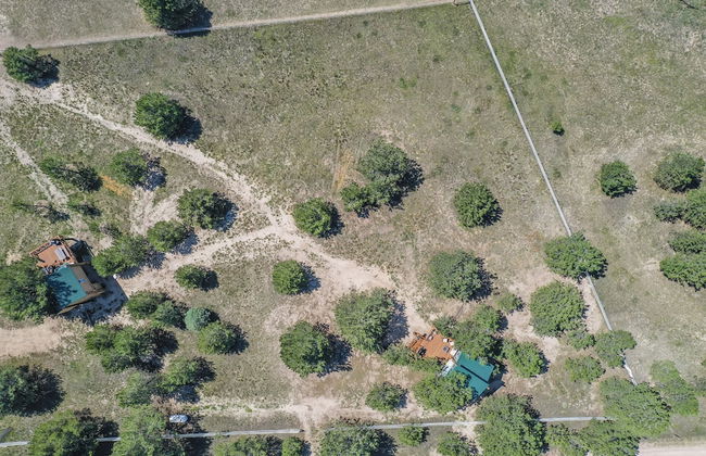 Tree Eagles Nest - Foto 36