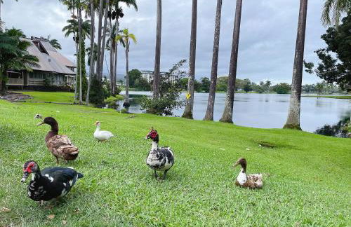 Studio in Hilo Center with Pool and Lake Views - Foto 35