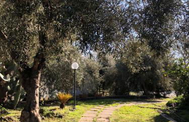 Casa Vacanza L'ulivo - Foto 1