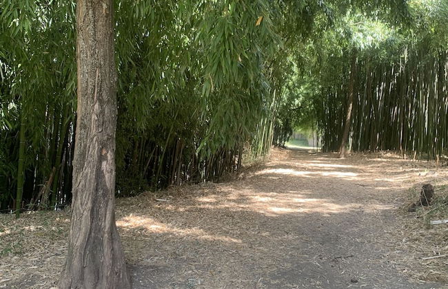 La Magnanerie appartement st ambroix - Foto 18