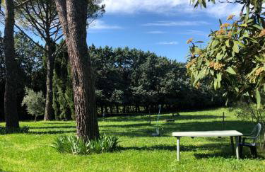 Gîte des pins - Foto 9