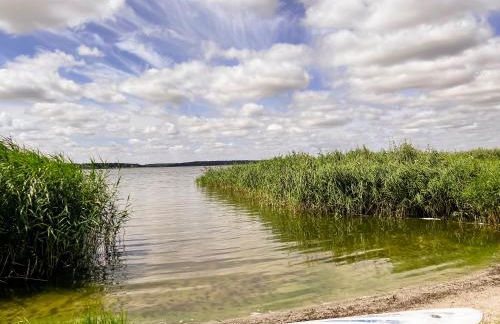 Fischerhaus in Quilitz - Foto 73