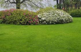 Nona lakeside apt at patrician Villa - Foto 58