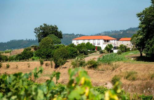 Quinta de Cartemil - Foto 9