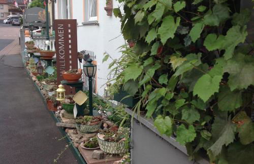 Landpension Villa Dominikus - Foto 3