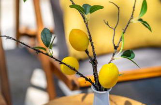 Lemoni House in Petras, Sitia, by Comfortbnb - Foto 6