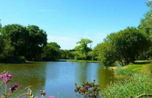 Holiday Home - St Austell - Foto 24