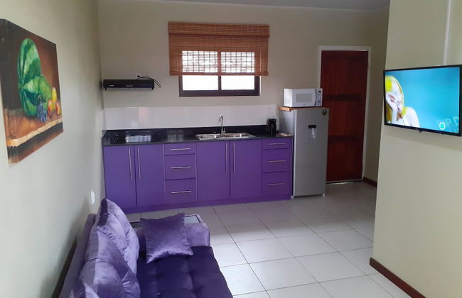 Max Garden and Pool - Photo 34