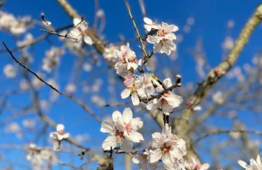 Casa da Aldeia - Foto 37