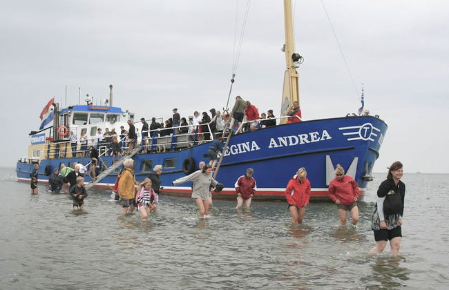 Authentic Farmhouse in Pingjum With Hot Tub - Foto 38