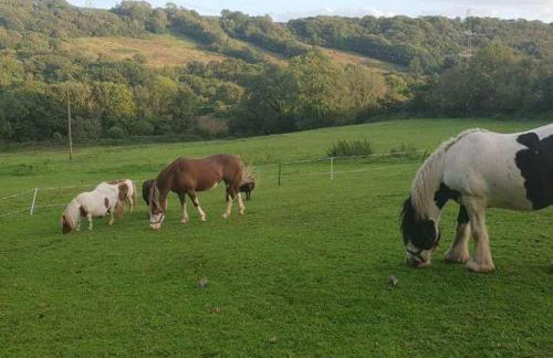 Charming Barn Conversion - Idyllic Rural Retreat- Pet Friendly - Foto 15