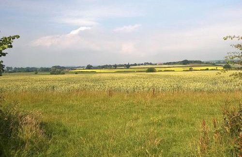 Midelney Music Room - Foto 23