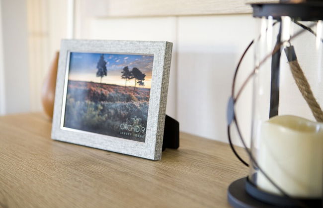 6 Berth Luxury Lodge in Christchurch, Dorset - Foto 28