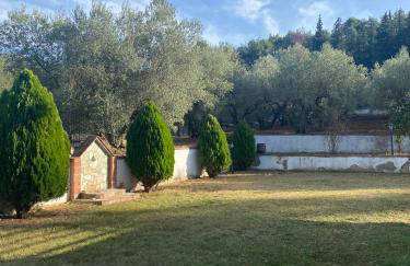 Elaiones house - Photo 36