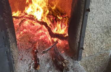 Quinta das Regueiras - Foto 13