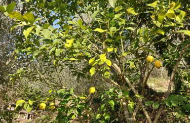 Nostro Rifugio - Foto 15