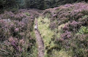 Kirkstone Lodge - Foto 41