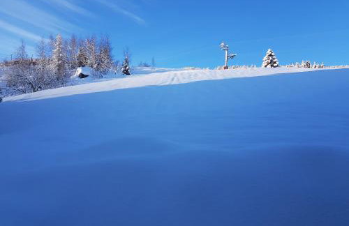 ski au pied, 3ch 2Sdb Garage Terrasse - Foto 4