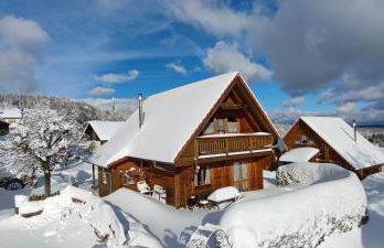 "Das Jagdhaus"- Chalet am Skigebiet mit Sauna - Foto 1
