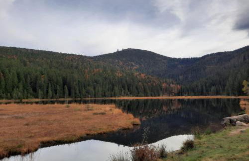 Ferienwohnung Bauer - Foto 19