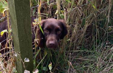 The Cabins at Redroofs - Photo 22