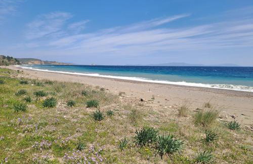 Timber Dream - Photo 42