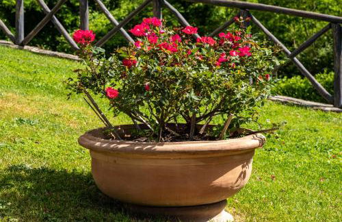 Agriturismo Terrazza sul Parco - Foto 50