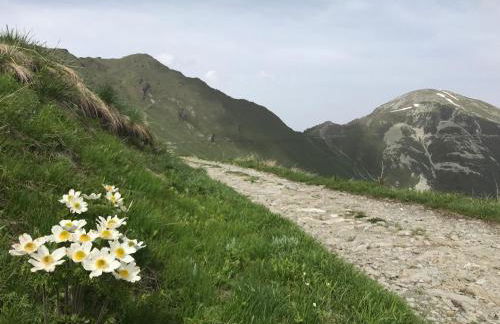 Agriturismo Ciambun - Foto 13