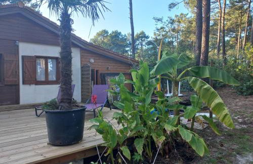 CHALET B NATURISTe MAEVA - Foto 15