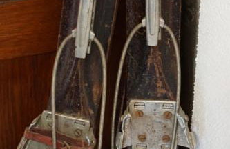 Górski Sad - Bazylia - Foto 9