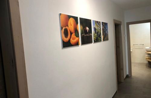 Klostergut - Foto 19