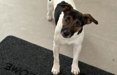 Francesco & Giulia - attico n 11 Treviso Stazione - Foto 39