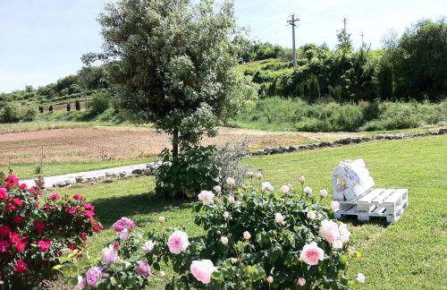 Corte Monticello - Foto 31